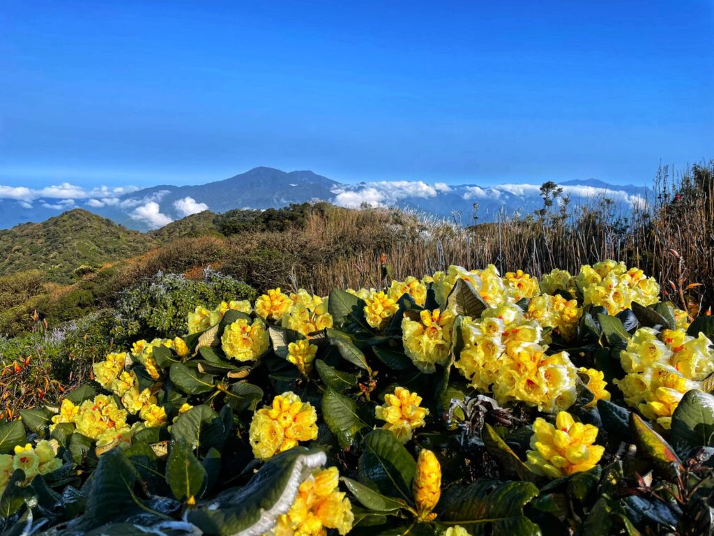 Top 6 Ideal Mountains for Trekking in Northern Vietnam